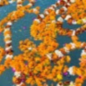 Meet your Posher, Ana